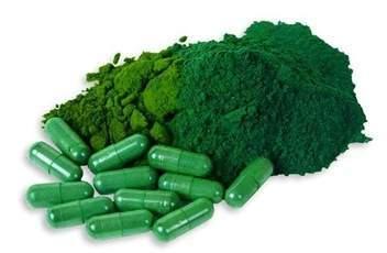 Alga Klamath, propiedades y contraindicaciones