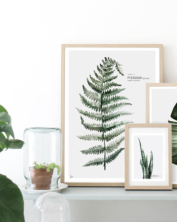 DECORACIÓN BOTÁNICA