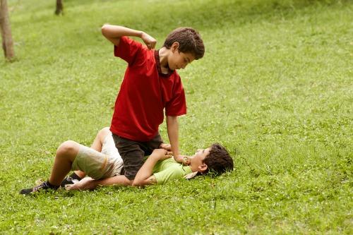 Two young brothers fighting and hitting on grass in park, with older boy sitting over the younger