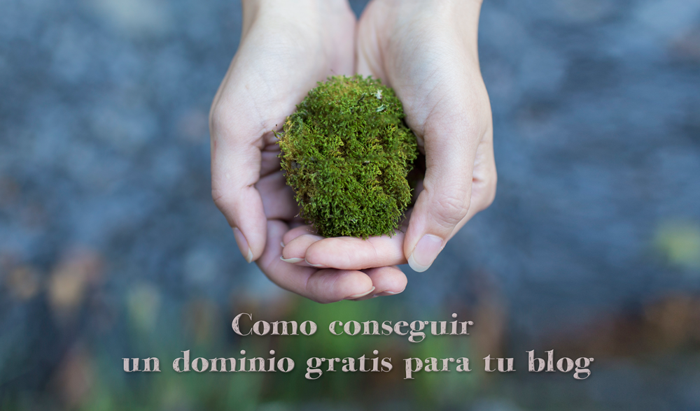 dominio-gratis-blog