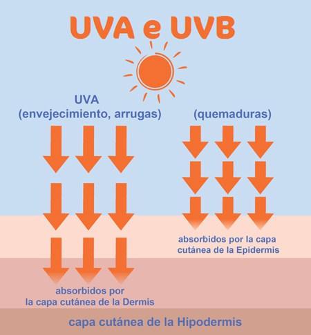 fernblock, rayos solares piel uva uvb