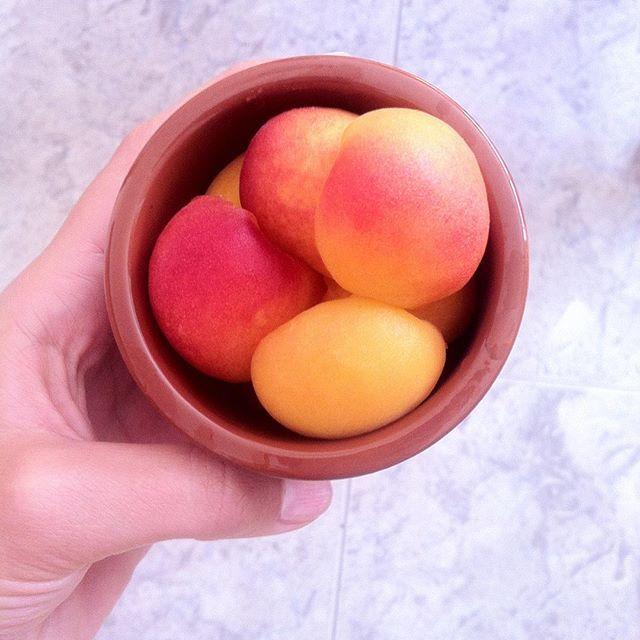 albaricoque, salud, vitamina a, caroteno, antioxidante, verano, alimentacion