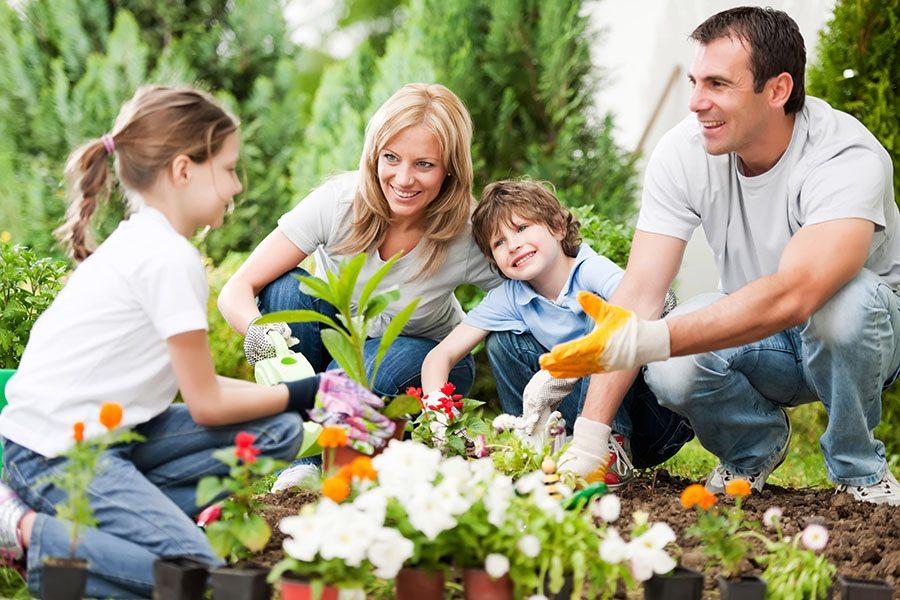 diseno de jardines Family Gardening