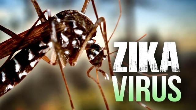 zika-virus-aedes-aegypti