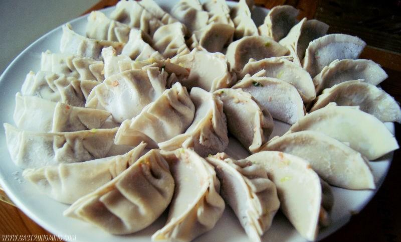 gyoza