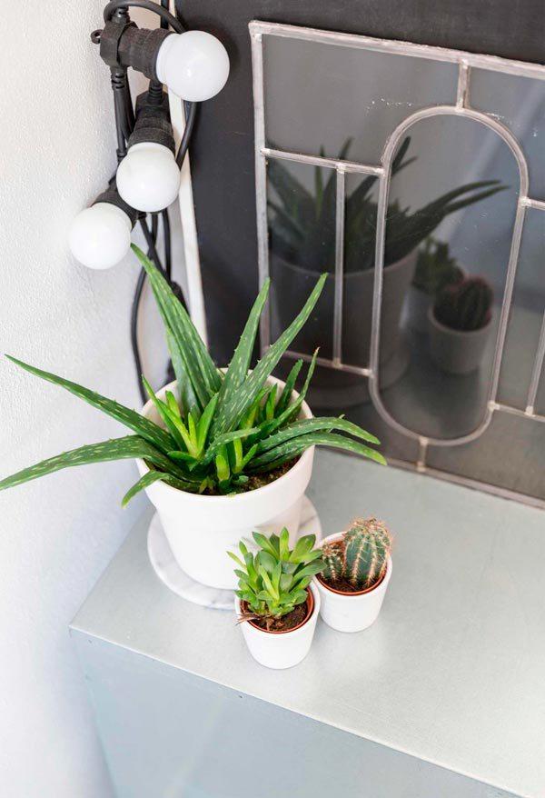 AllYourSites-Creatividad-Color-6