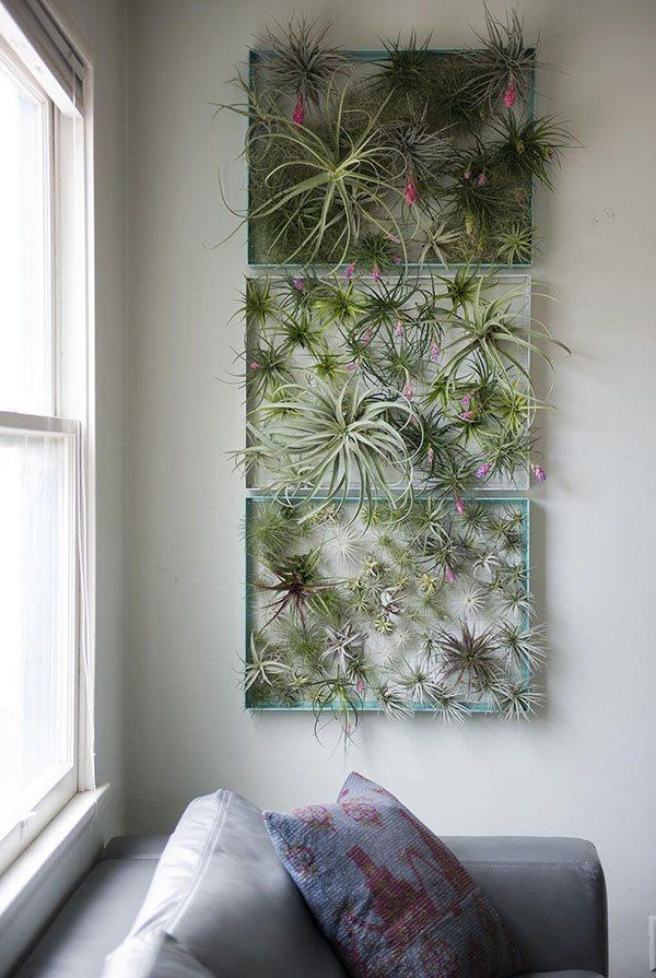 plantas de aire contemporist wall