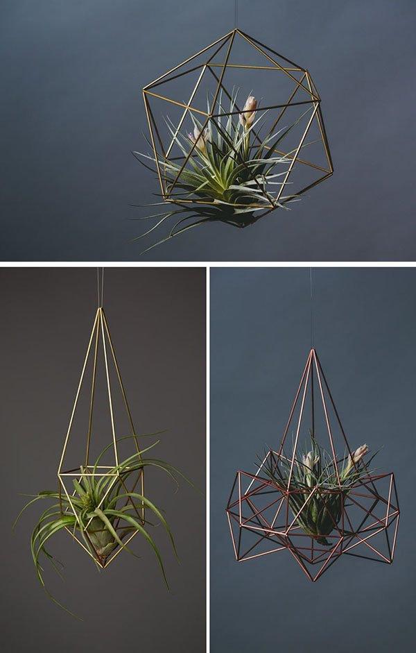 plantas de aire contemporist air plantas