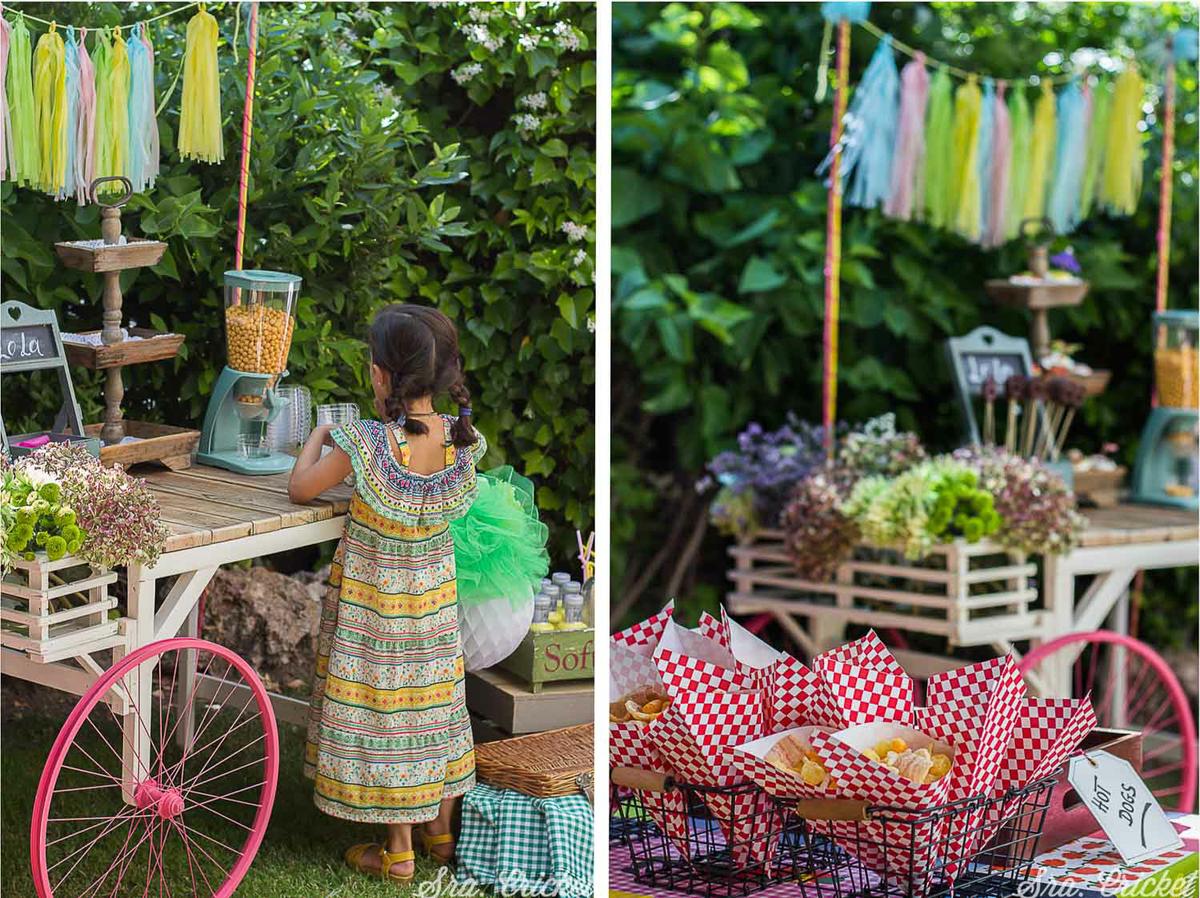 fiesta infantil picnic