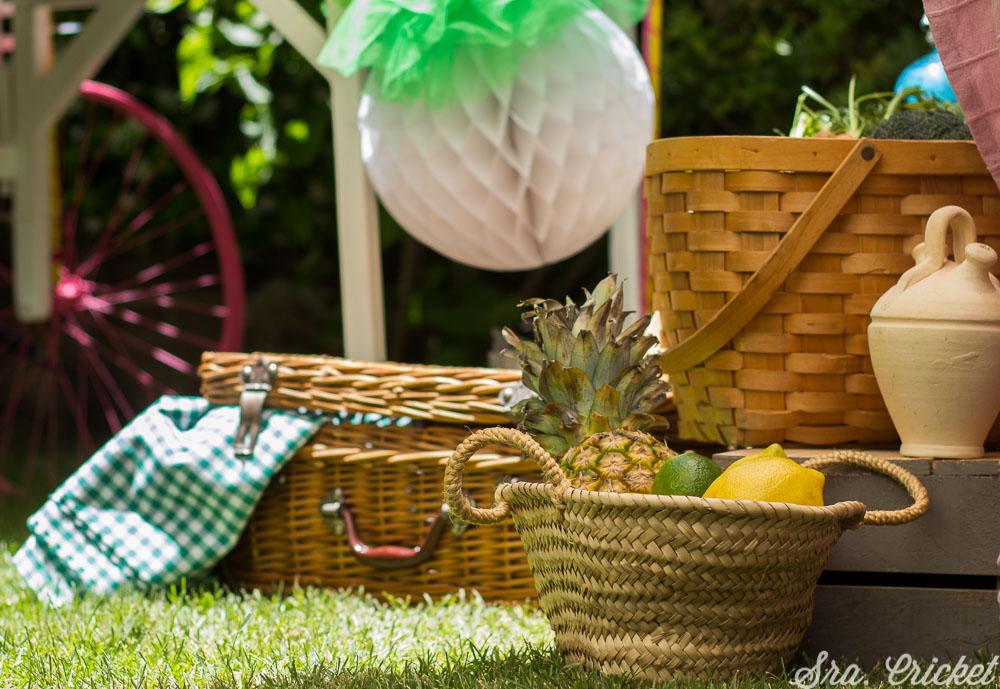 fiesta infantil picnic