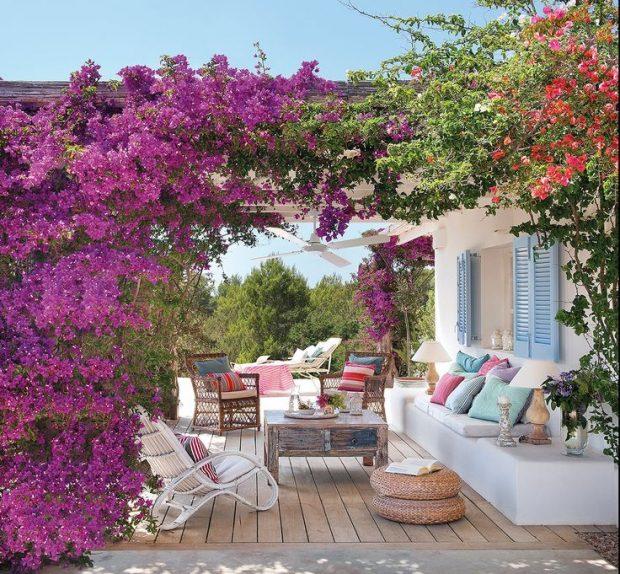 bugamvilla terrace