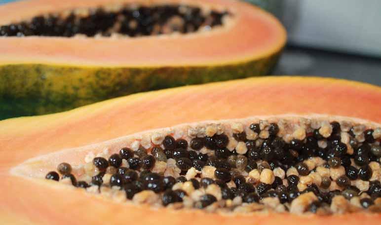 Jugo de papaya para evitar la acumulación de grasas