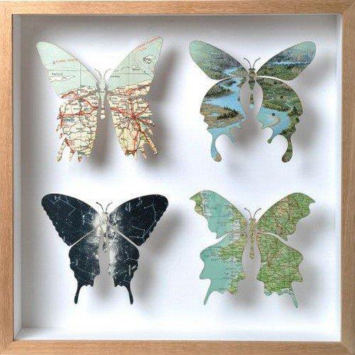 mariposas
