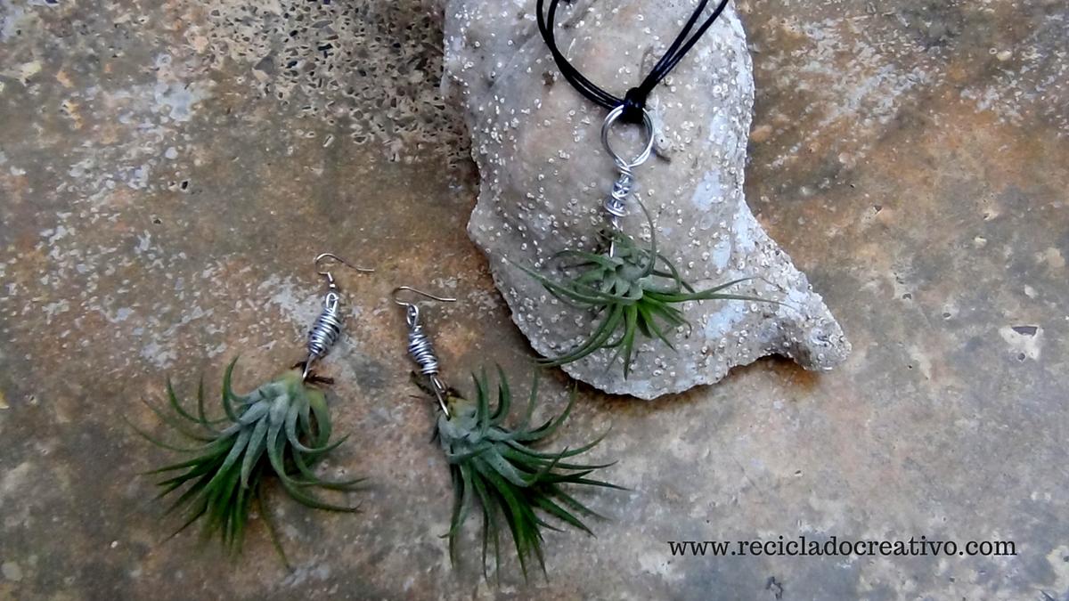 Bisutería, pendientes, colgante con plantas vivas. Claveles del viento