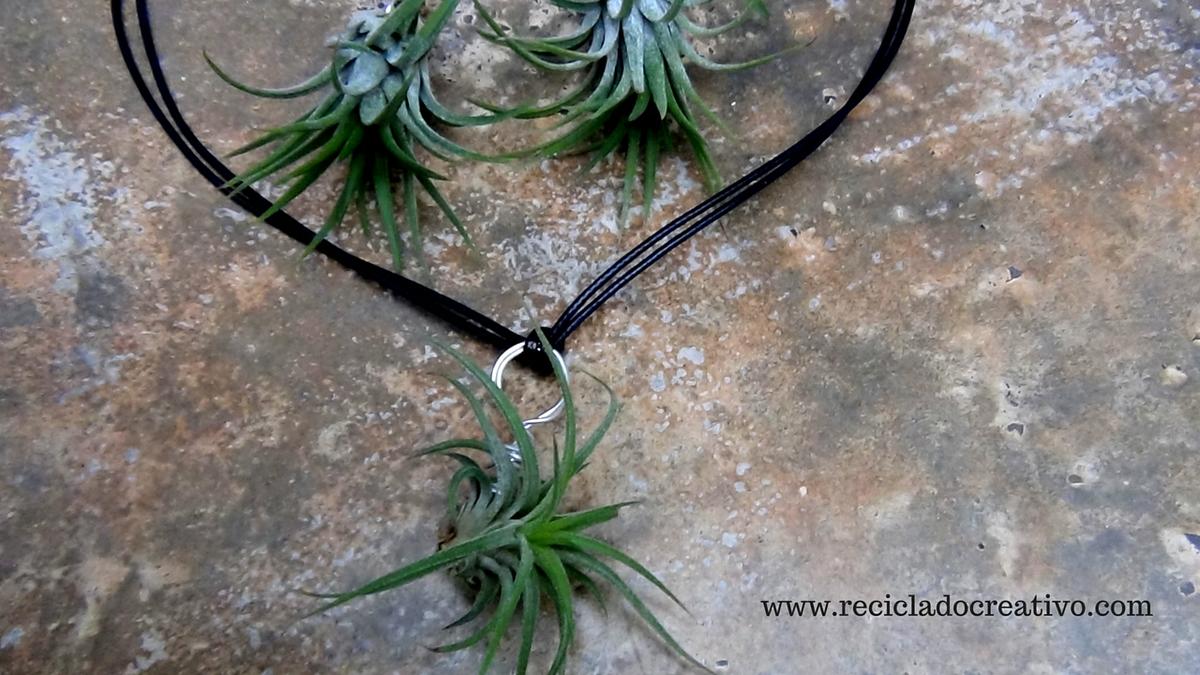 Bisutería, pendientes, colgante con plantas vivas. Claveles del viento