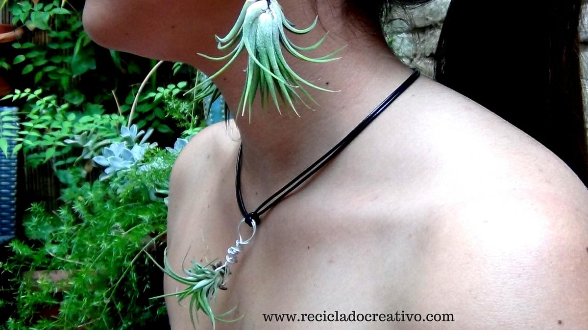 Bisutería, pendientes, colgante con plantas vivas. Claveles del viento