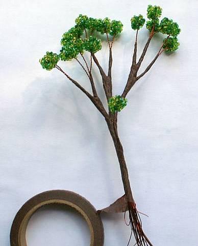 bonsai