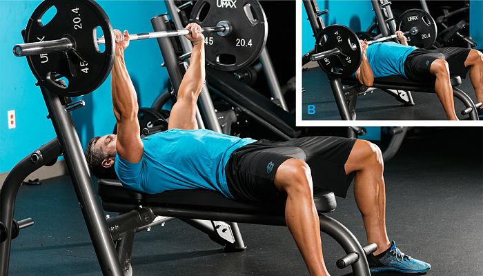 5 vias para que los mayores de 40 mejoren sus ganancias en fuerzas