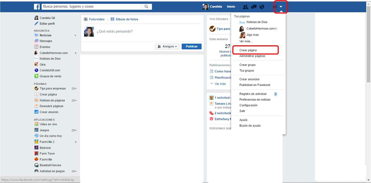Página en Facebook 2