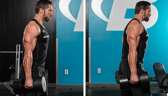 Un programa que te hará ser el mejor en cualquier deporte