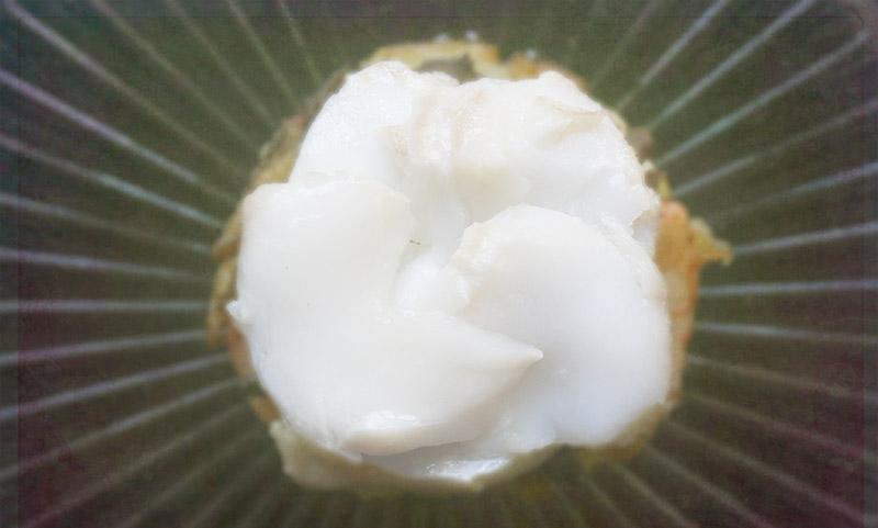 BACALAO CONFITADO CON GAMBAS Y SETAS #receta