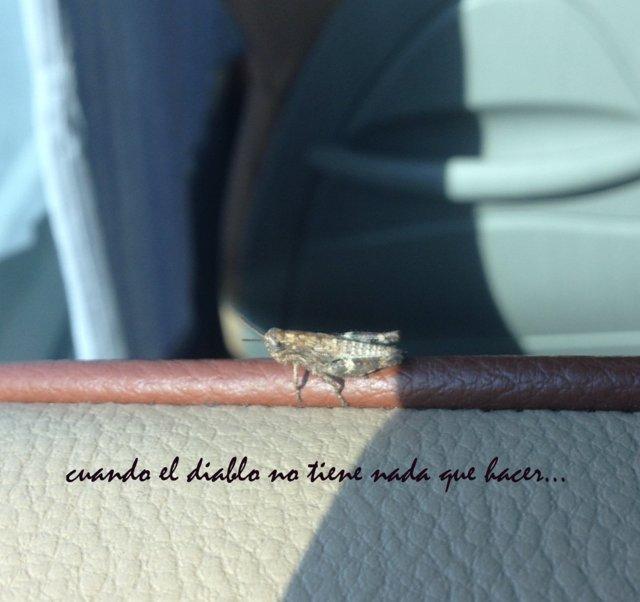 FullSizeRender (1) (FILEminimizer)