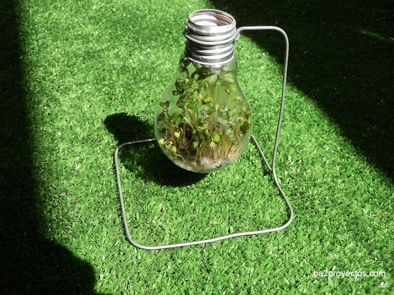 diy-bombilla-maceta