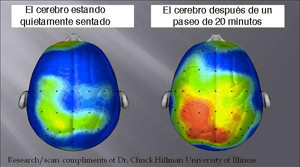 El Mejor Ejercicio Para El Cerebro | Salud