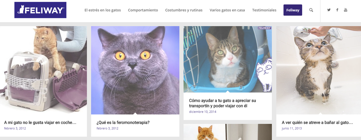Feliway Blog