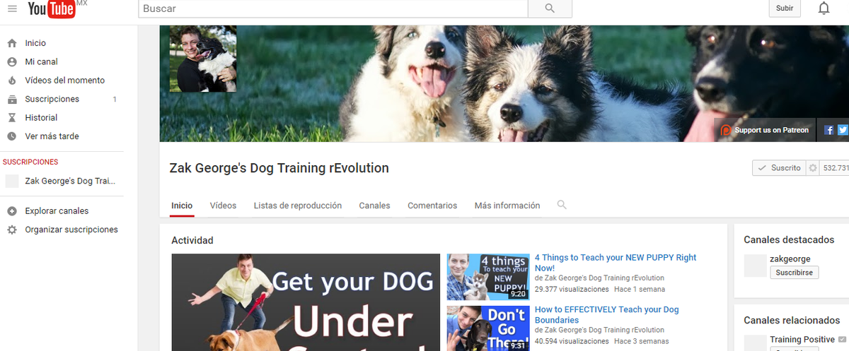 Zak George Training Youtube