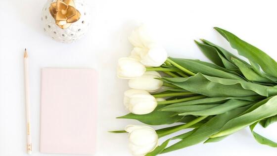 Tips Para Bloggers | Fabi Maravilla