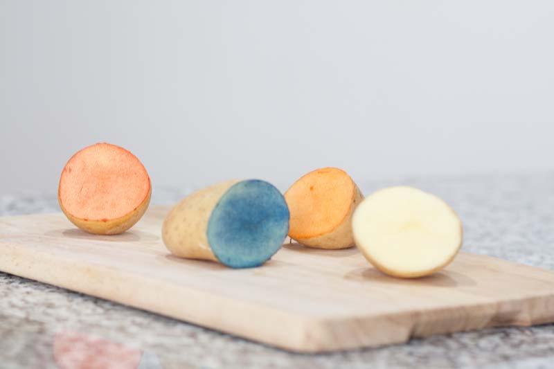 Estampar un paño de cocina con sellos hechos con patatas.