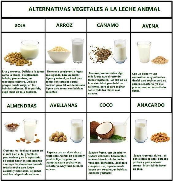 Leches vegetales