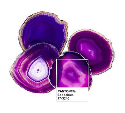 Pantone F/W 2016 - 2017 Bodacious