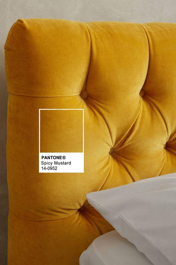 Pantone F/W 2016 - 2017 Spicy Mustard