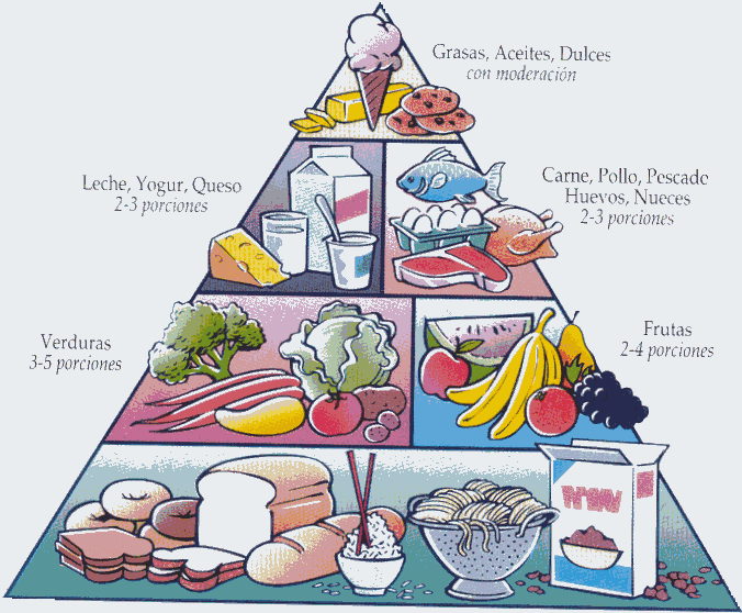 piramide alimentaria