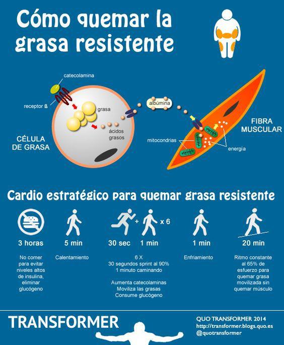 ¿Cómo podemos quemar grasa corporal?