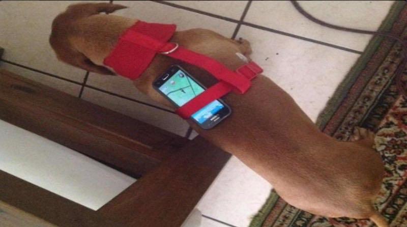 hack radar pokemon Go