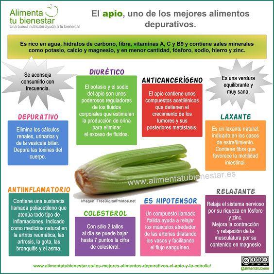 El apio es uno de los mejores alimentos depurativos. #infografia Propiedades del #apio: