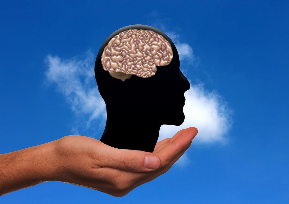juiceplus-cerebro