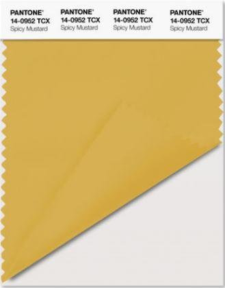 10_colores_tendencia_otoño_invierno_2016_2017_Spicy Mustard
