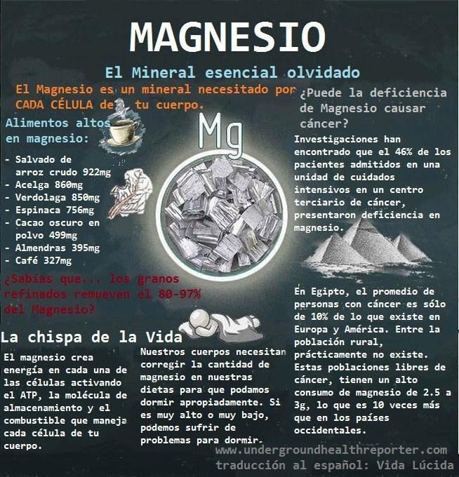 Resultado de imagen de magnesio infografía