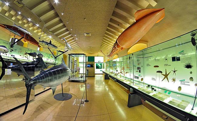 que-hacer-en-tenerife-2