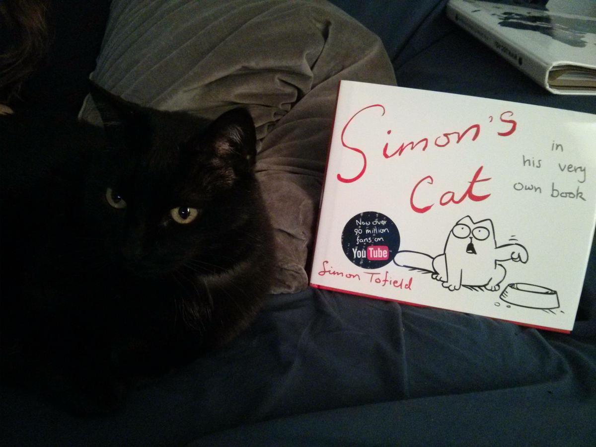 El libro de Simons Cat