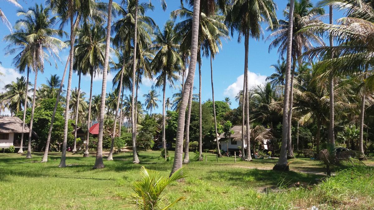 Koh Phangan-Cintias Love in Action