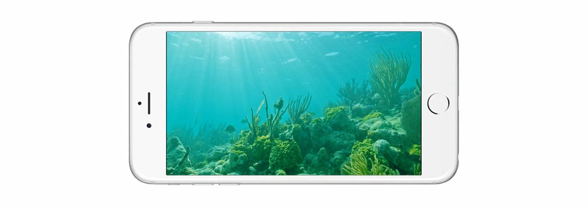 Paralenz, una cámara para hacer fotos bajo el agua que recauda más de 345.000 dólares