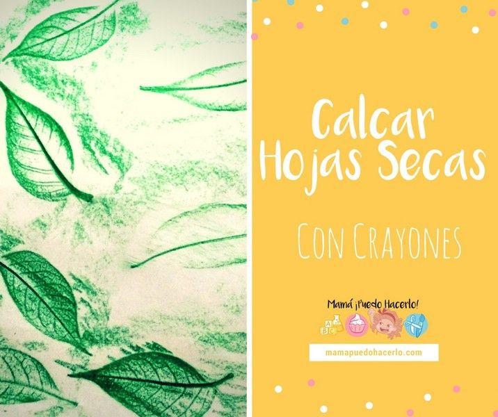 Calcar hojas Secas con Crayones