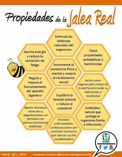 Propiedades de la jalea real