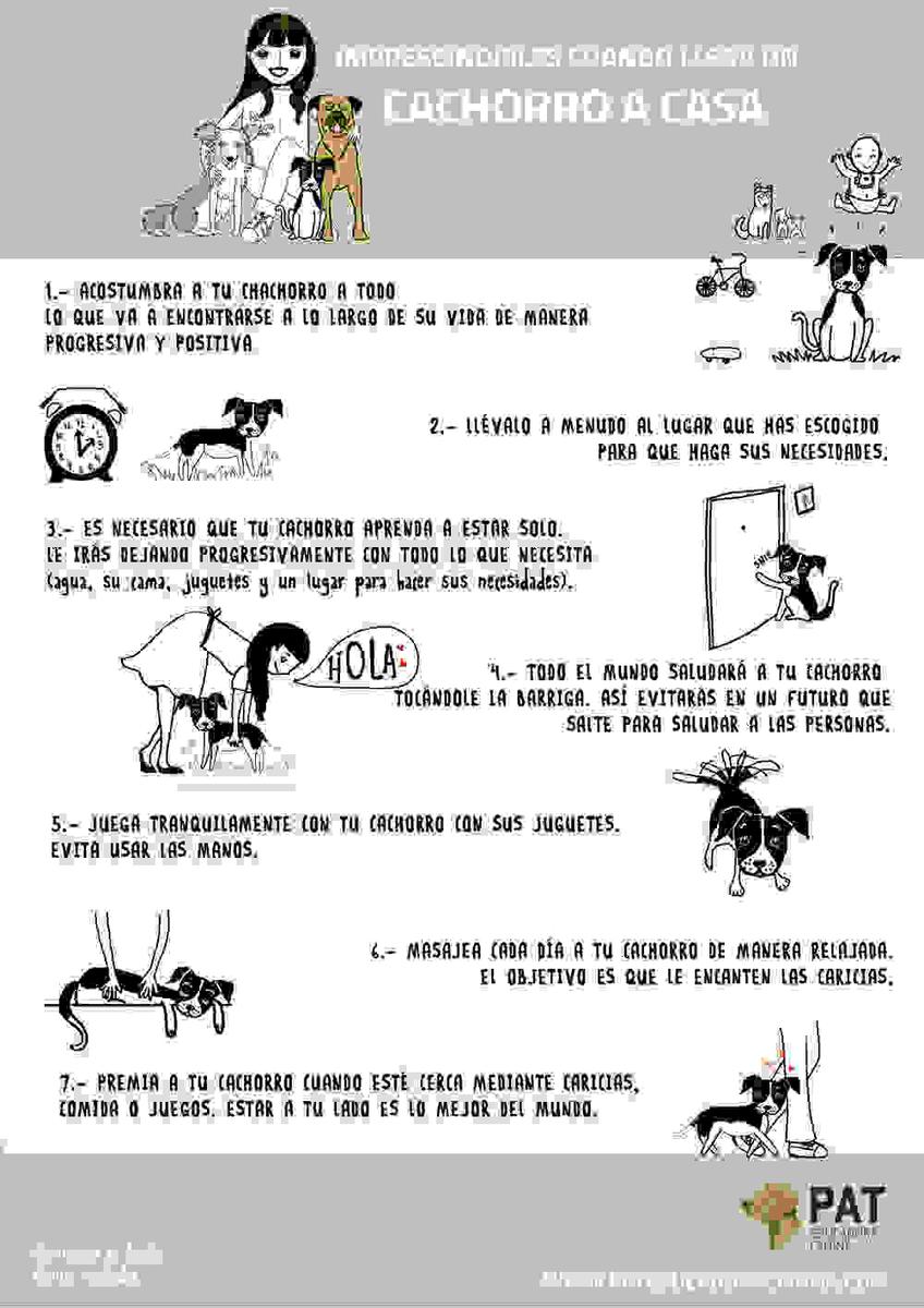 pat-infografia-cachorros-brweb