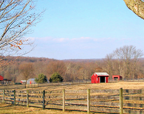 ¿Buscas ideas de negocio rentables y exitosas? ¡Aquí tienes varias propuestas!